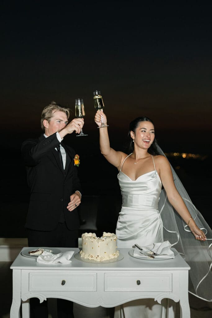 Cheers photo of bride and groom after their cake cutting